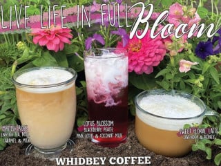 Whidbey Coffee