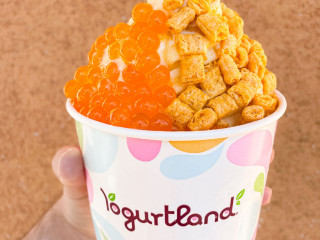 Yogurtland Arvada