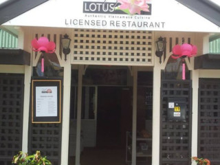 Lotus Vietnamese