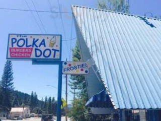 The Polka Dot