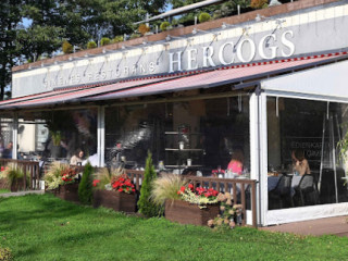 Hercogs