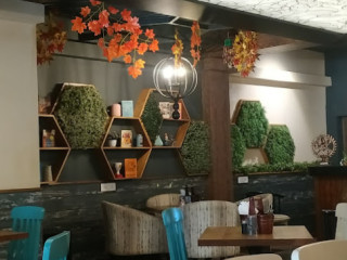 Brew Lounge