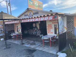 Baja Burro