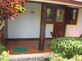 Palococo