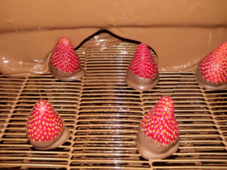 Genevieve's Home Made Chocolates