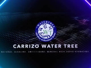 Carrizo Water Tree