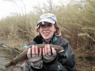 Bighorn Trout Shop Lodge