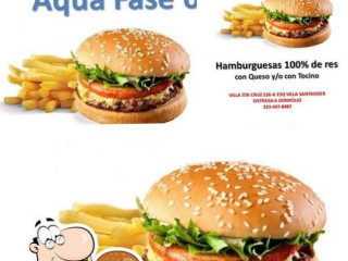 Burger Aqua Fase 6