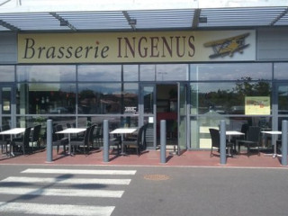 Brasserie Ingenus