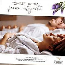 Boutique Paniste