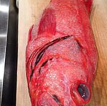 Shì ノ Mù