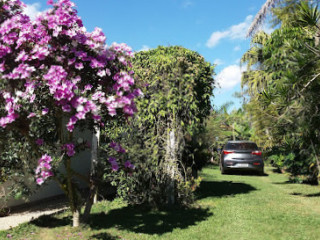 Bairro Da Cachoerinha