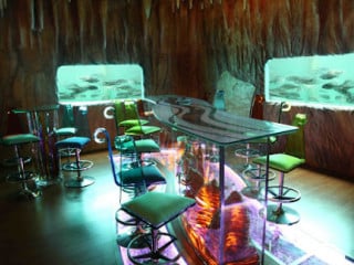 Dragon's Cave Aquarium