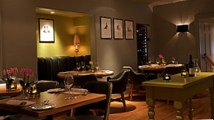 Olive Tree