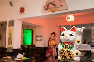 Tayori Japones