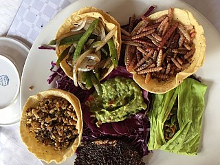 Rancho Zapata - Mezcalera Productora Artesanal & Restaurante Gourmet