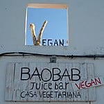 Baobab Juice Casa Vegetariana