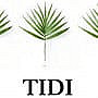 Tidi