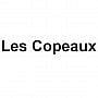 Les Copeaux