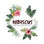 Restaurant Hibiscus: Tapas, Boissons Fraiches, Et Bar A Vin