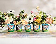 Ben Jerry's Glassbutik Soedermalm