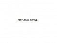 Natural Bowl