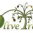 The Olive Tree, Coin