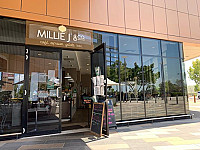 Millie j & co northshore