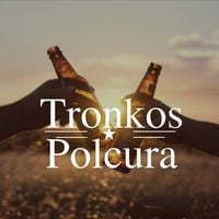 Tronkos Pub Polcura