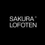 Sakura Lofoten