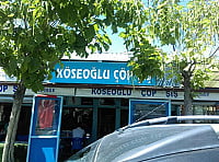 Koeseoglu Coepsis