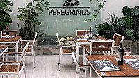 Peregrinus