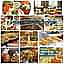 Seekers Catering Services