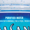 Dasani Bottled Water (20 Oz Bottle)