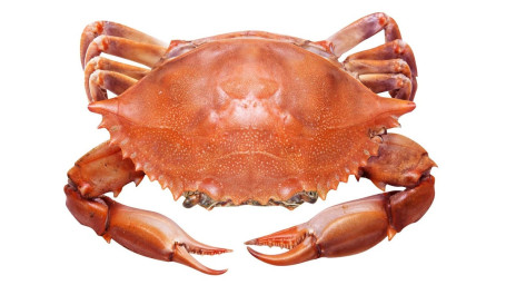 M. Blue Crab(Seasonal)