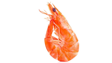 M5. Shrimp (Head On (1 Lb.