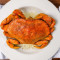 Fresh Dungeness Crab (For 1 Crab)