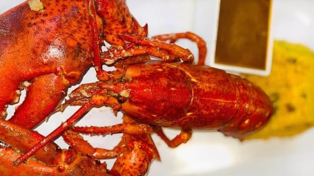 Lobster Langosta