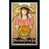 Prairie Peach Wheat