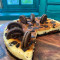 Baked Nutella Oreo Cheese Cake