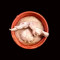 Basmati Rice Burir Special Kissmi Chicken (2Pcs)