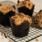 Vanilla Cinnamon Streusel Muffin