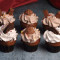 Assorted Premium Cupcakes Pack of 6