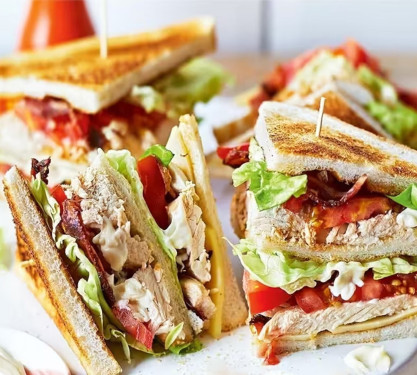 Foodizz Special Club Sandwich