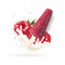 Raspberry Stick Kulfi