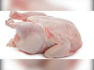 Frango Inteiro Abatido 2,600G