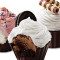 Pacote Com 6 Variedades De Cupcakes De Sorvete Pronto Agora