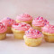 Strawberry Cupcake [6 Pieces]