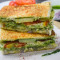 Grilled Bombay Chutney Sandwich With Cheese