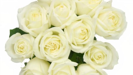 Debi Lilly Dozen White Rose Bouquet (White)